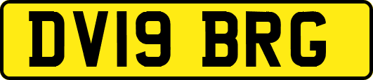 DV19BRG