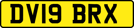 DV19BRX