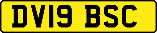 DV19BSC