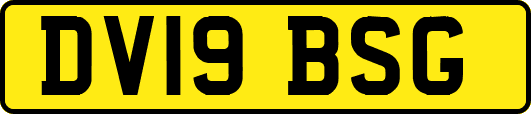 DV19BSG