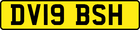 DV19BSH