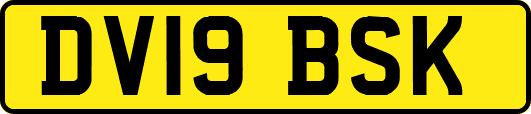 DV19BSK