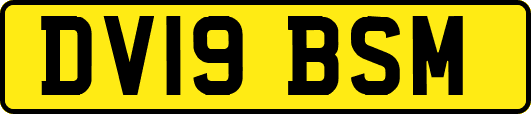 DV19BSM