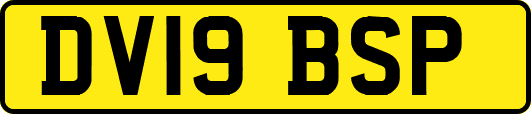 DV19BSP