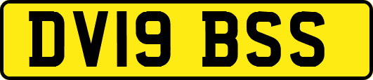 DV19BSS