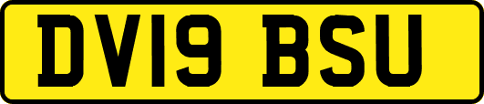DV19BSU