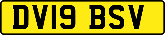 DV19BSV