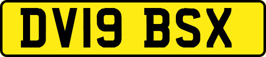DV19BSX