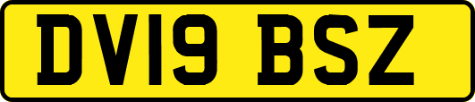 DV19BSZ