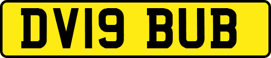 DV19BUB