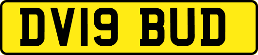 DV19BUD