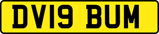 DV19BUM