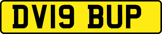 DV19BUP