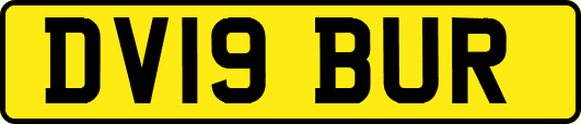 DV19BUR
