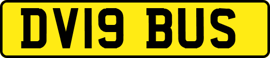 DV19BUS