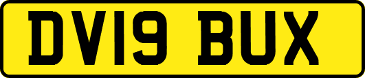 DV19BUX
