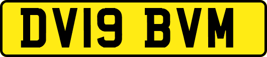 DV19BVM