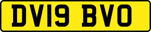 DV19BVO