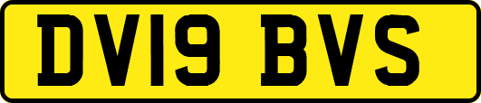 DV19BVS