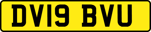 DV19BVU