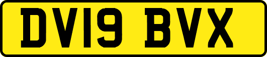 DV19BVX