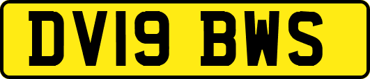 DV19BWS