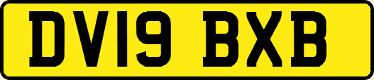 DV19BXB