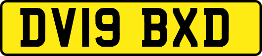 DV19BXD