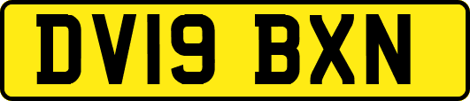 DV19BXN