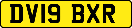 DV19BXR