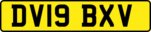 DV19BXV