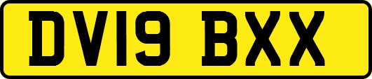 DV19BXX