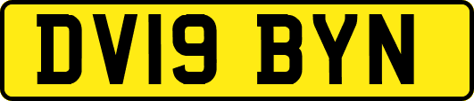 DV19BYN