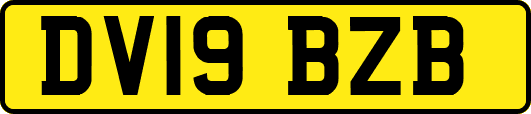 DV19BZB