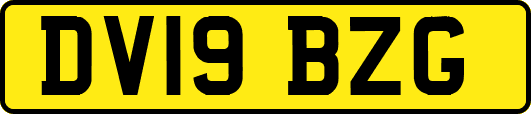 DV19BZG