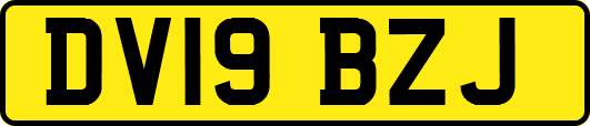 DV19BZJ