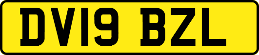 DV19BZL