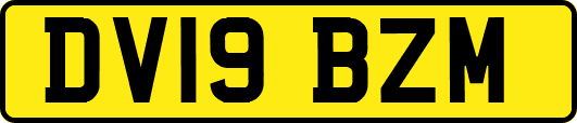 DV19BZM