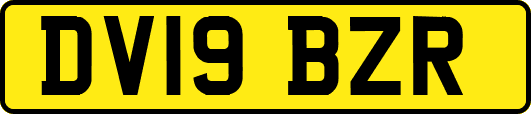 DV19BZR