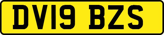 DV19BZS