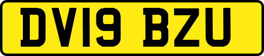 DV19BZU