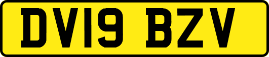 DV19BZV