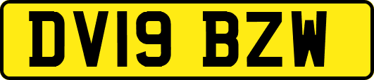 DV19BZW