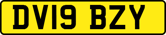 DV19BZY