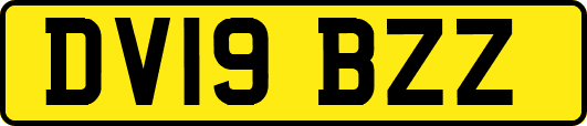 DV19BZZ