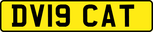 DV19CAT