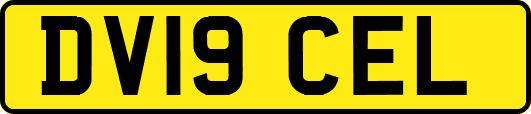 DV19CEL