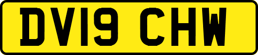 DV19CHW