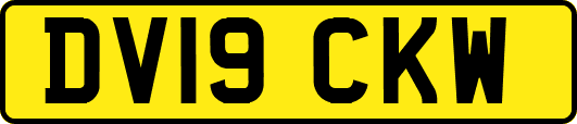 DV19CKW