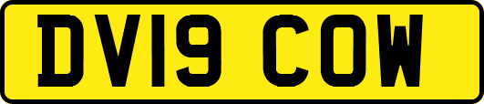 DV19COW